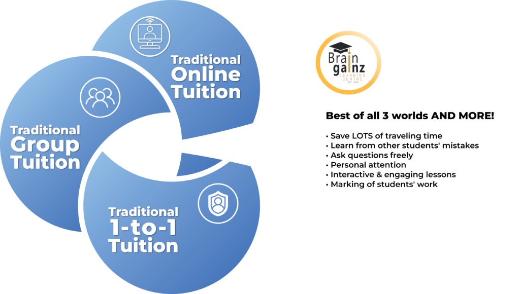 Braingainz Hybrid Tuition Model